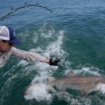 article image - 
